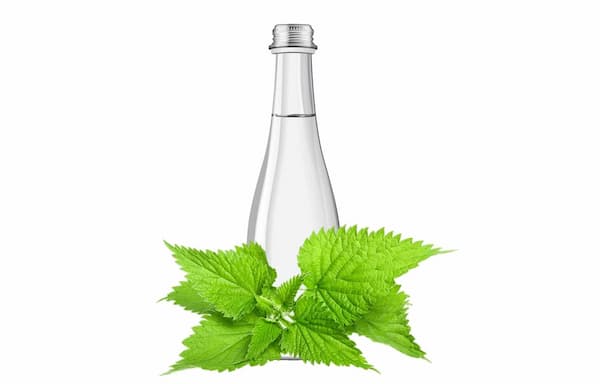 تصویر 5 از فروش عرق گزنه اصل + قیمت خرید به صرفه